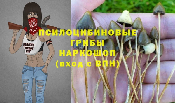 a pvp Володарск