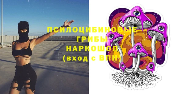 СК Волосово