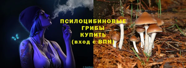 a pvp Володарск