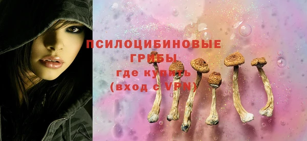 a pvp Володарск