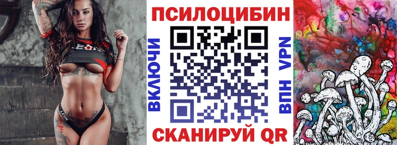 KRAKEN   Луза  Псилоцибиновые грибы MAGIC MUSHROOMS 